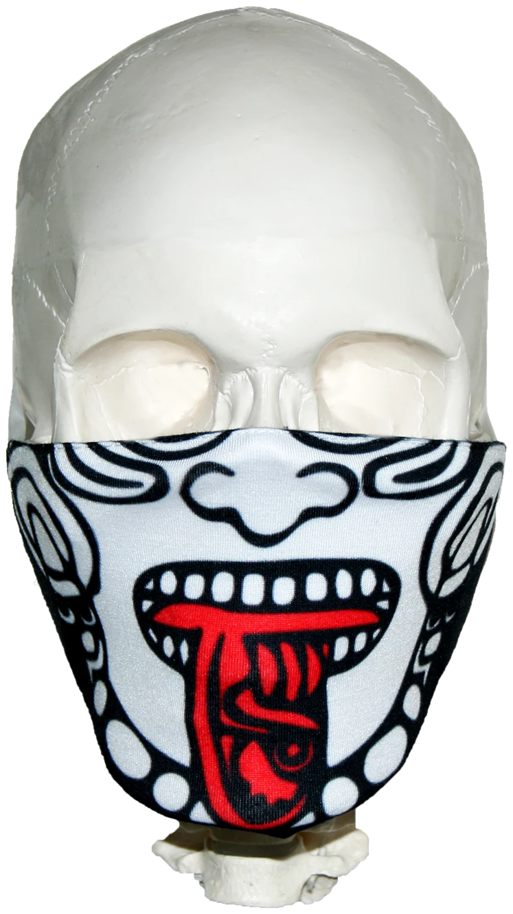 A skull wearing the Zuma Red mask